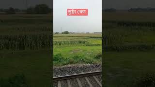 Corn flour plant | ভুট্টা ক্ষেত |  ভুট্টা খেত 🇮🇳 #shorts