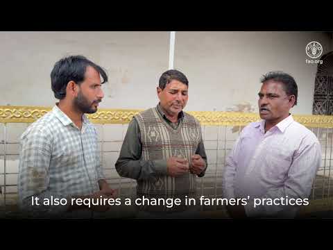 Climate-Smart Agriculture