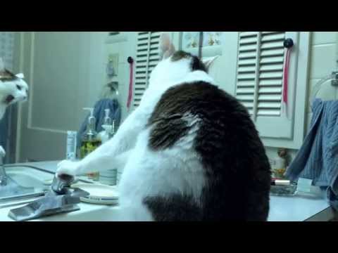 Do You Want The Water On?