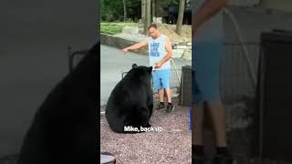 WATCH: Drunk uncle confronts black bear at family BBQ #shorts
