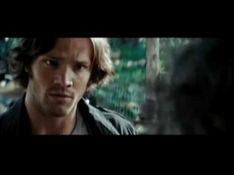 Vorschaubild für Freitag der 13. (2009) Trailer