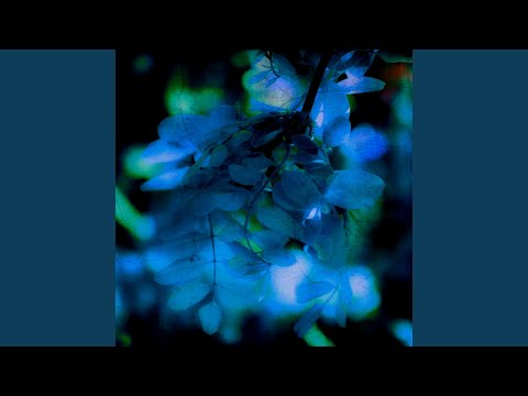 Last leaf is falling