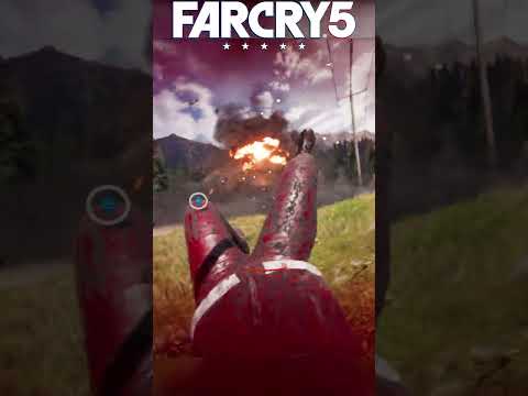 POV: Far Cry 5, but you have no braincells left