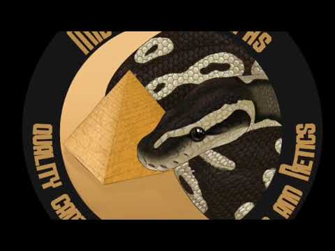 New Pickup for my Desert Ghost project