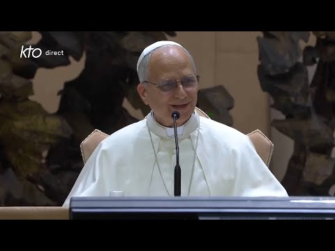 Jubilé des équipes synodales et des organes de participation : rencontre avec le pape Léon XIV
