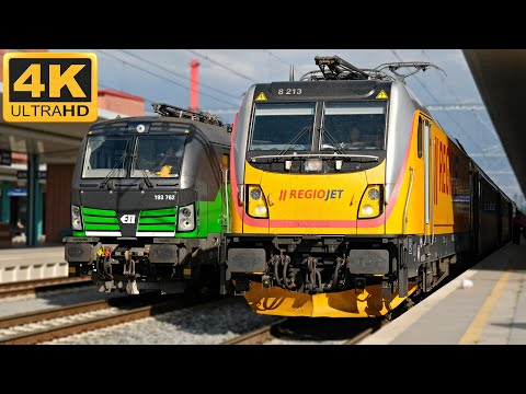 Trains Pardubice hlavní nádraží ● 31.08.2025