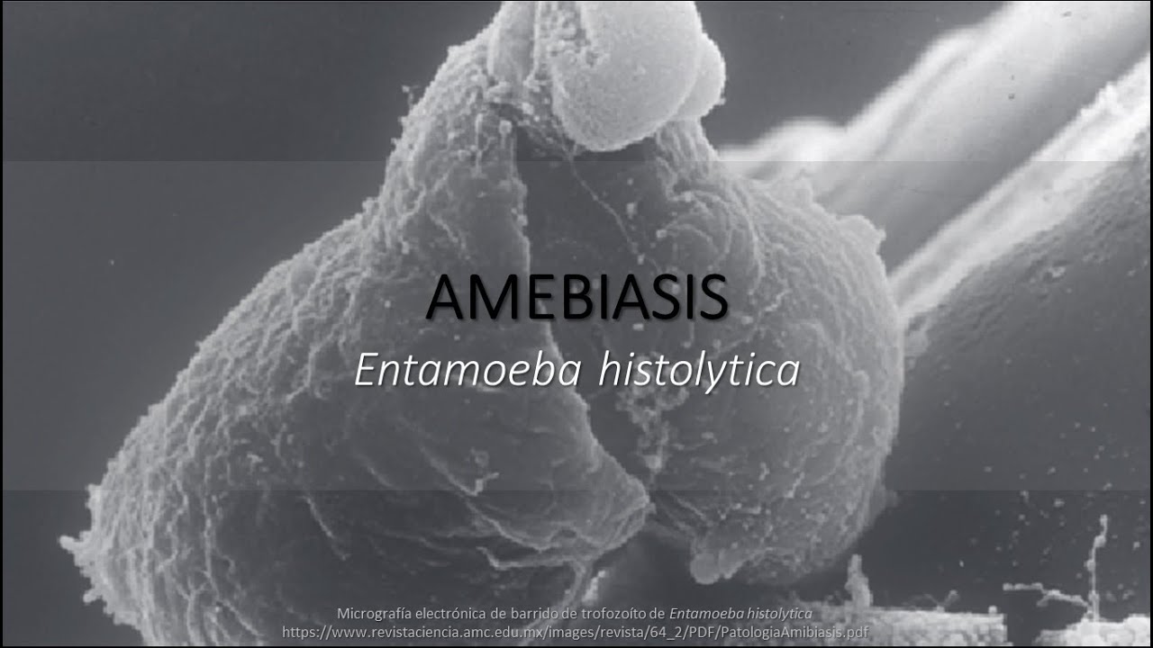 Amebiasis: BIOLOGÍA (resumen + memorización)