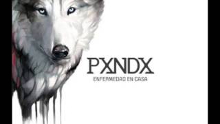 02. Saco sport y clavel blanco - Pxndx