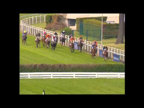 Cyrlight Race " Prix Ferdinand Dufaure " Gr 1 Auteuil - 30/05/2004