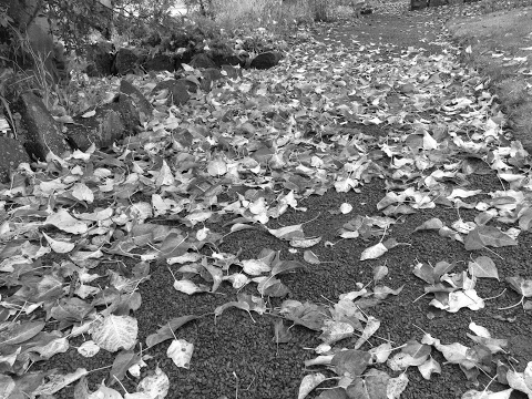 How to play SMITE-Arena Co-op