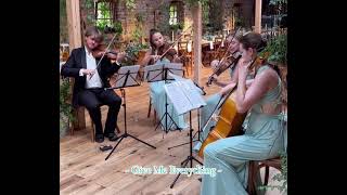 Bridgerton String quartet - Quartetto d`archi a Venezia Verona
