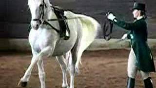 preview picture of video 'Dressage Performance from the Original Lipizzans 8'