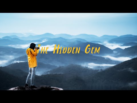 Pfälzerwald - Hidden Gem of Germany (4K)