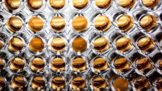 julianna barwick ;anjos