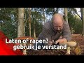 Wat mag je wel en niet meenemen uit de bossen?
