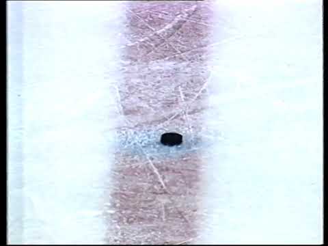 WC 1991 Icehockey Switzerland vs Germany