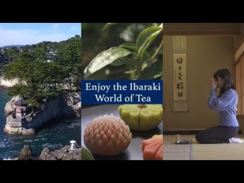 Enjoy the Ibaraki World of Tea 〜A Trip to Tea in Ibaraki〜