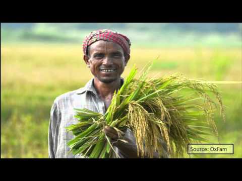 상위 1%의 부유층, 집으로 돌아오세요! | 척 콜린스 | TEDxJamaicaPlain