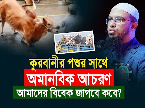 কুরবানীর পশু পরিবহন, বাজারজাত ও যবেহ-পদে পদে বন্ধ হোক পশুর সাথে অমানবিক আচরণ