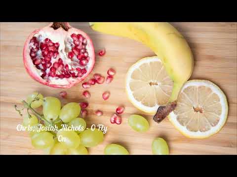 Chr1s, Josiah Nichols  - O Fly On