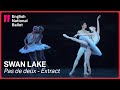 Swan Lake: Odette and Prince Siegfried pas de deux (extract) | English National Ballet