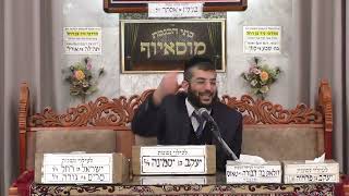 הרב מנחם גיאת | הלכות | מוסאיוף (בית הכנסת מוסאיוף) - התמונה מוצגת ישירות מתוך אתר האינטרנט יוטיוב. זכויות היוצרים בתמונה שייכות ליוצרה. קישור קרדיט למקור התוכן נמצא בתוך דף הסרטון