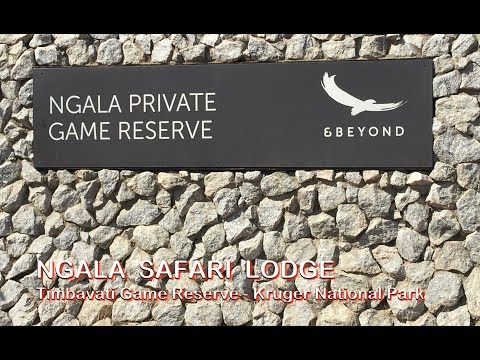download lagu mp3 mp4 Ngala Safari Lodge, download lagu Ngala Safari Lodge gratis, unduh video klip Ngala Safari Lodge