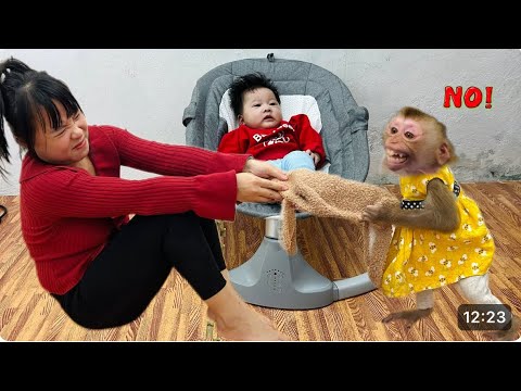 Diana the monkey wants her mom to put a hat on the baby before going outside to play.