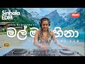 Mal Mal Hina මල් මල් හිනා EDM Cover Curry Island EDM Sherly Wijayantha Swiss Alp