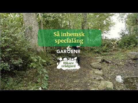 Så inhemsk specialäng - Trädgårdshacks med GardenR