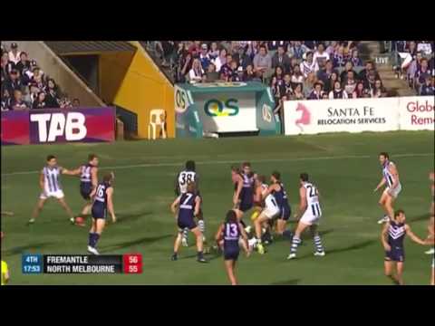 Sam Gibson's beauties against Freo (Round 6, 2014)