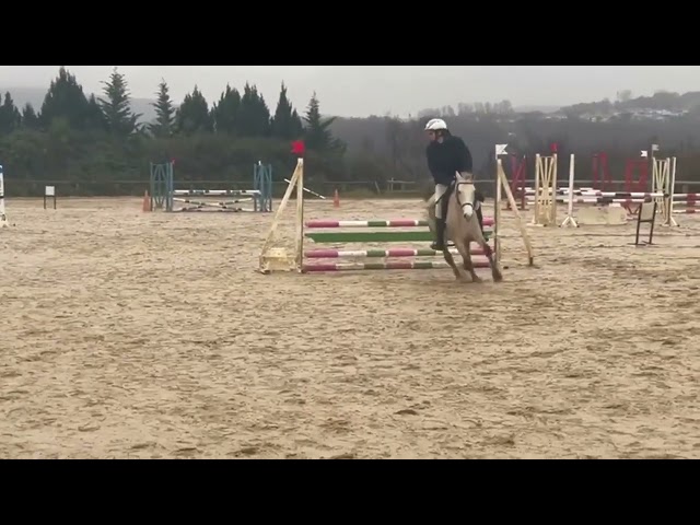 A vendre – Jolie ponnette polyvalente de 6 ans