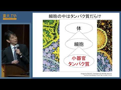 Stress und Zukunftsängste sind eine normale Folge der sich immer schneller drehenden Welt um uns herum.