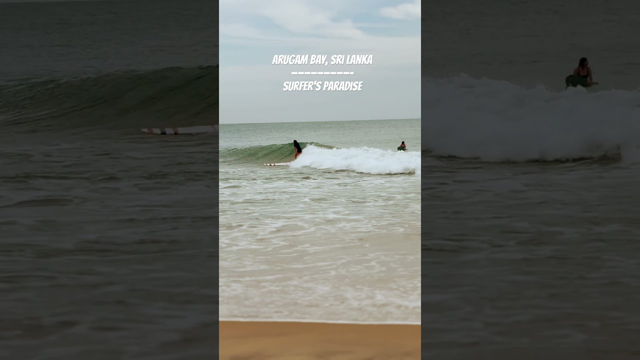 Arugam Bay: Where Waves Teach Patience