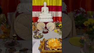 Katina festival Perth Australia 🇦🇺 #katina #australia #perth #buddhism #temple