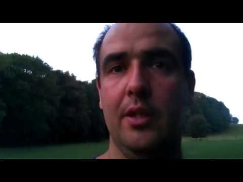 Weide nach dem Regen!