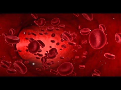 Hybrids and Rh Negative Blood - ROBERT SEPEHR