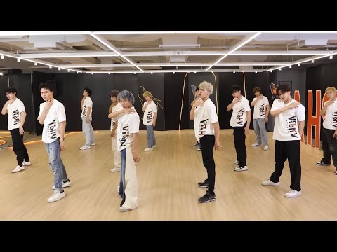 PROJECT ALPHA : THE ALPHA (Theme Song) | Mirrored Dance Practice