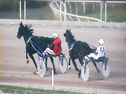 Trotto 09/10/2018 - 7ª corsa