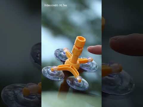 Car Windshield Repair Kit That Fixes Cracks in Minutes!