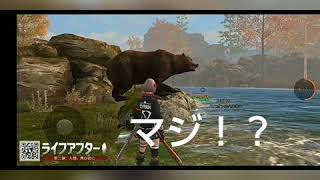 ライフアフター 面白動画 熊VS人間