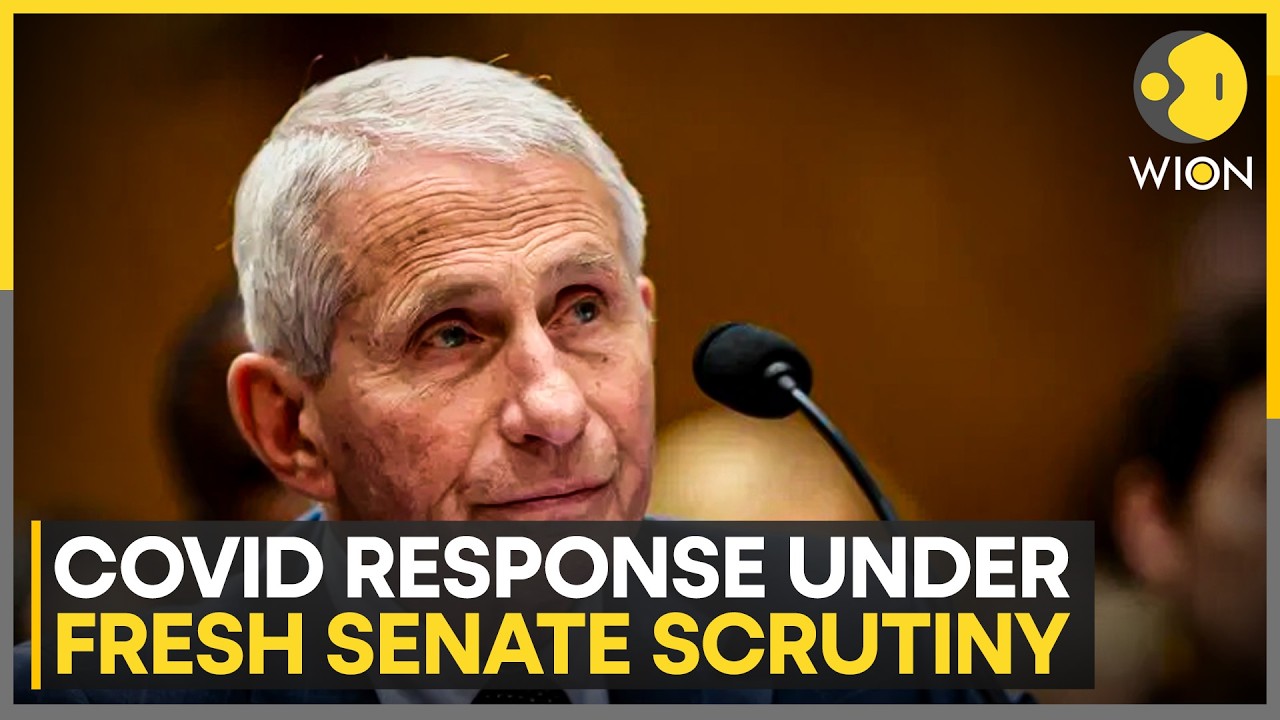 COVID Hearing: Senator Paul Targets Fauci | WION News
