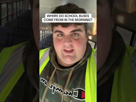 WHAT HAPPENS BEFORE YOU GET ON THE SCHOOL BUS?