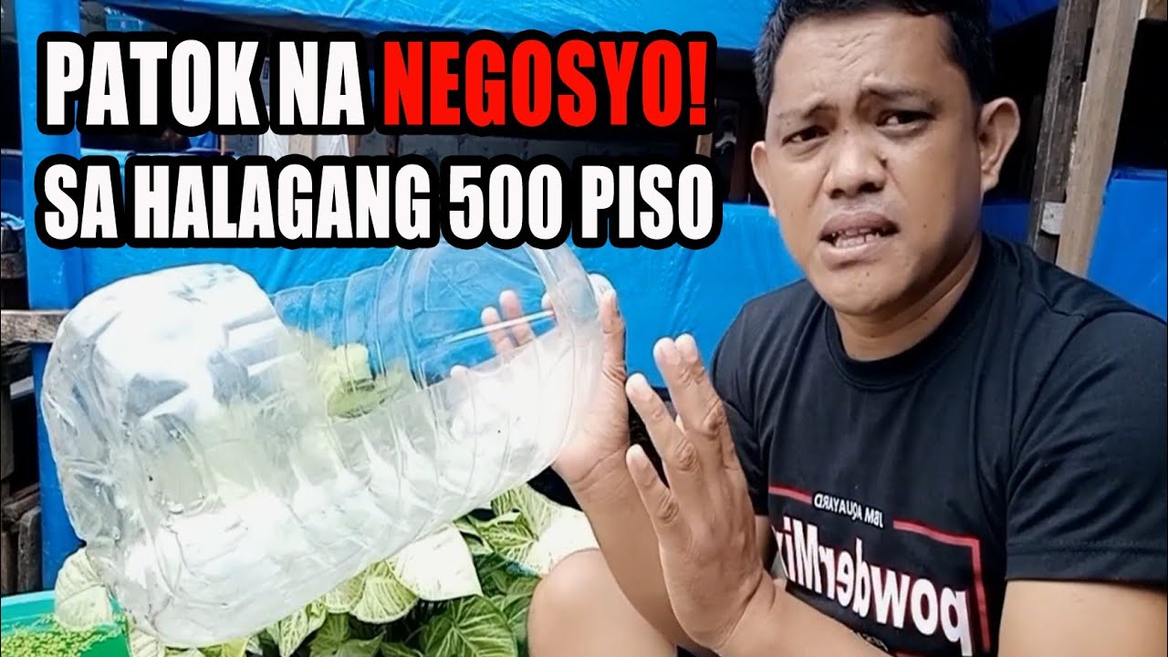 PATOK NA NEGOSYO SA HALAGANG LIMANG DAANG PISO | Backyard Business!