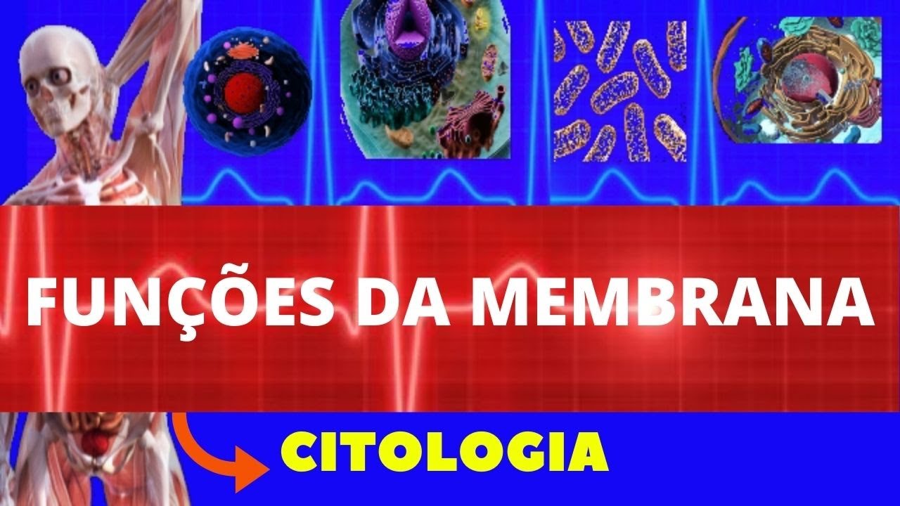 MEMBRANA PLASMÁTICA - FUNÇÕES , ESTRUTURA , CARACTERÍSTICAS E COMPOSIÇÃO - CITOLOGIA
