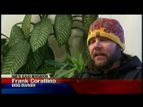 Sandpoint couple finds pets poisoned