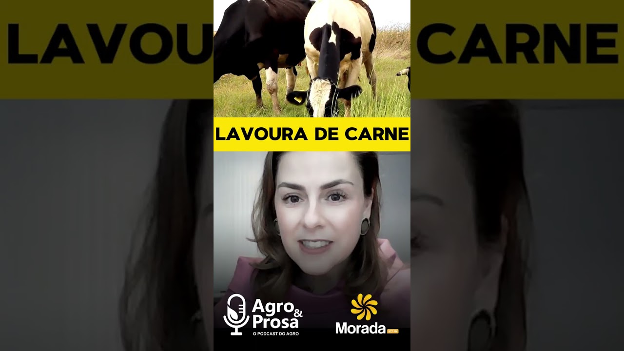 Pastagem deve ser tratada como lavoura!