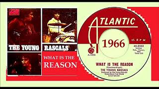 The Young Rascals - What Is The Reason 'Vinyl'