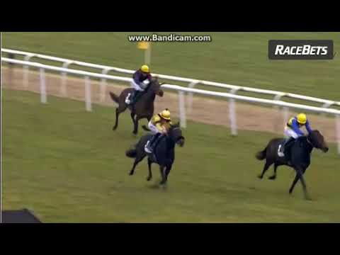 Alinaro´s großer Sieg auf der Neuen Bult