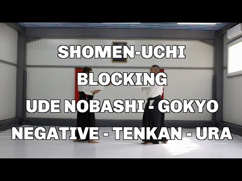 Shomen-Uchi, Blocking, Ude Nobashi - Gokyo, Negative - Tenkan - Ura / Aikido techniques